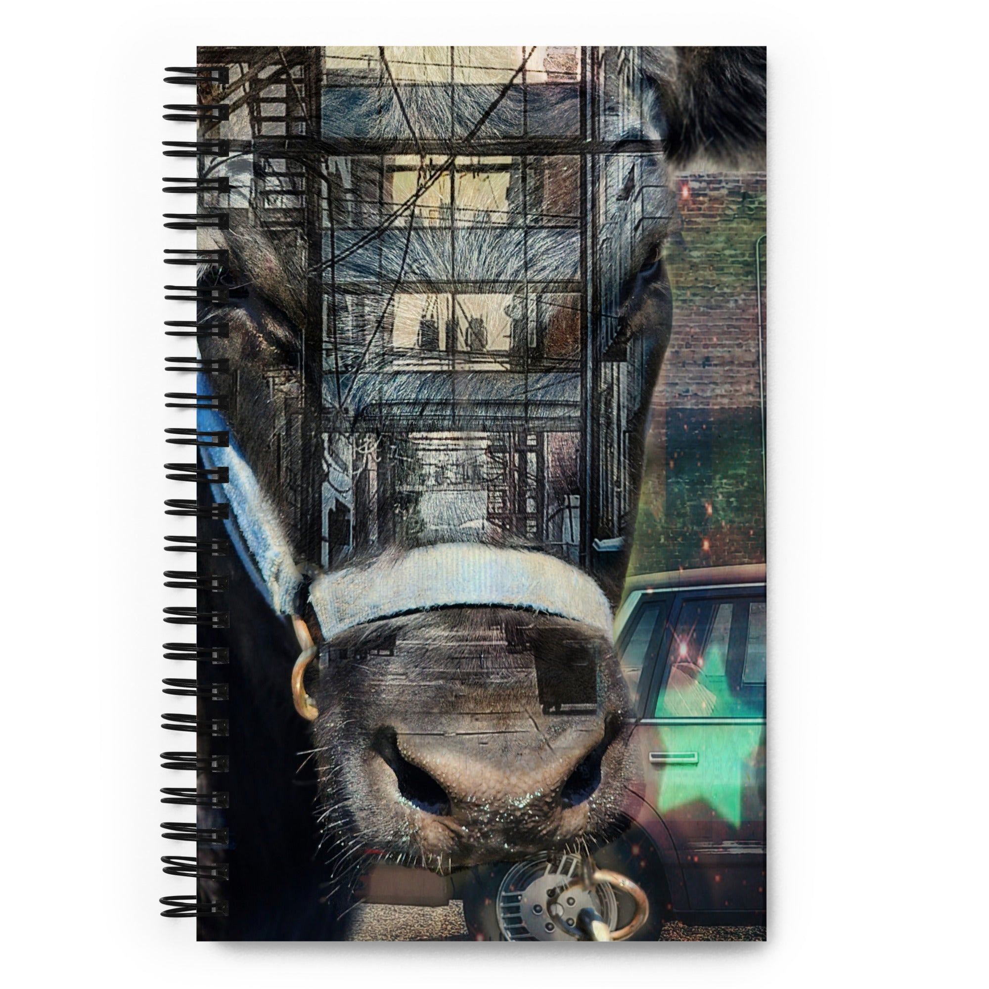 Notebooks
