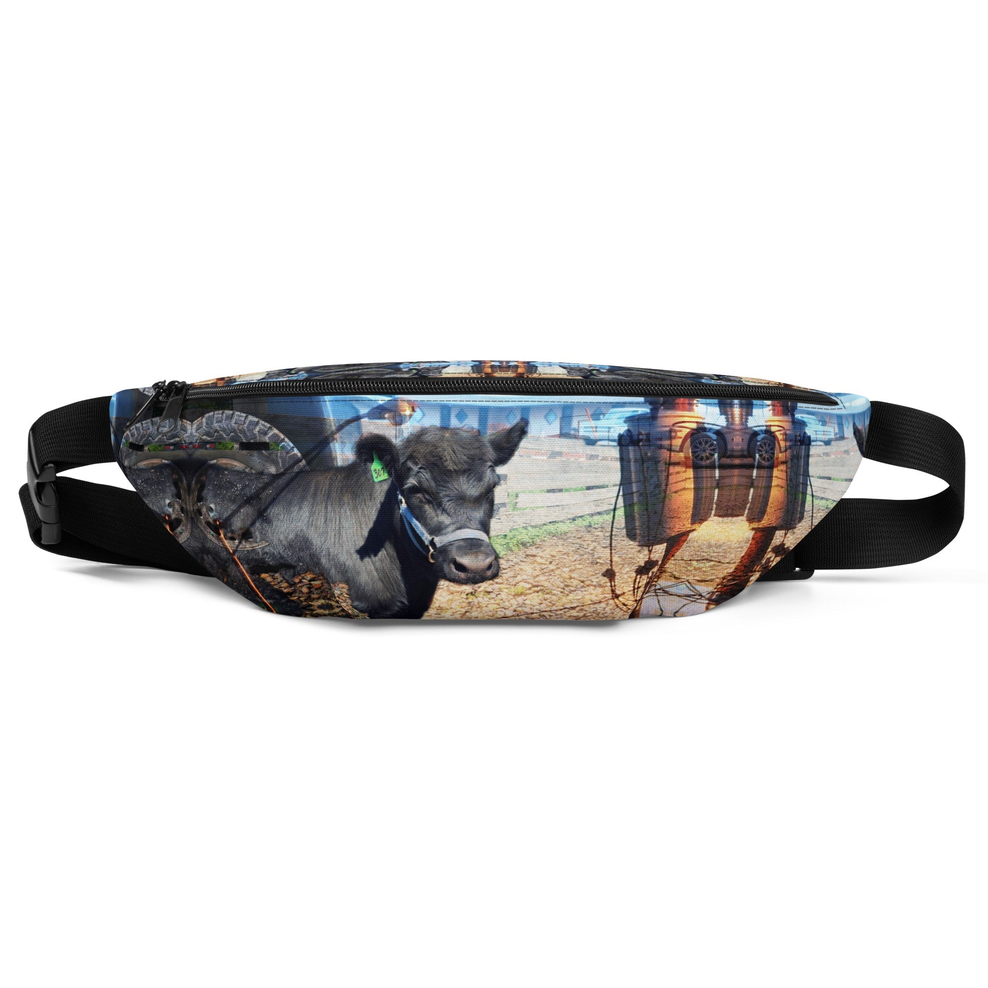 Fanny Packs